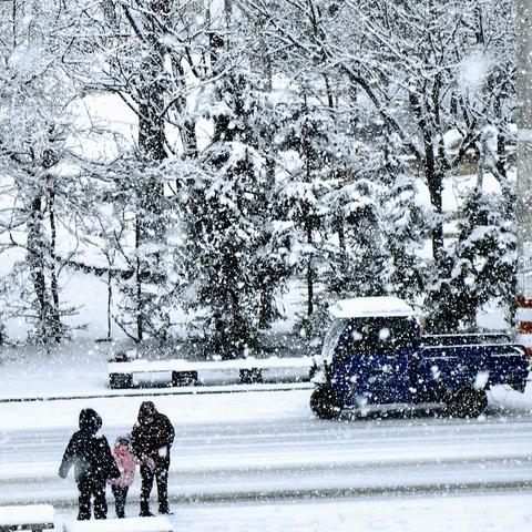 春雪