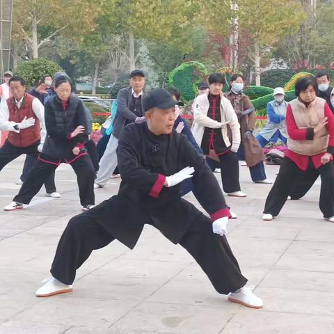 聊城运河博物馆太极培训基地：咸隆堂老师精授八法五步，拳友共赴太极盛宴