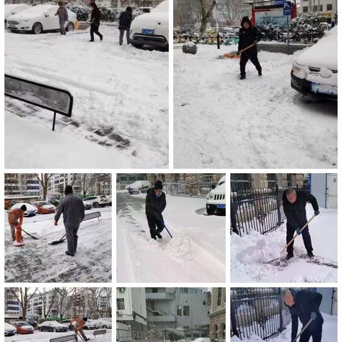 银都物业||新城国公1月工作简报