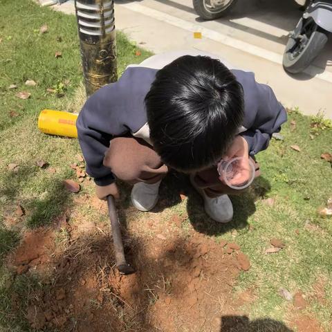 【林爱礼の小实验】《神奇的沙漠水源》