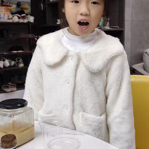 《大陆漂移》