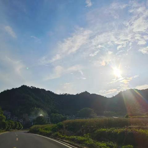 《希望的阳光》