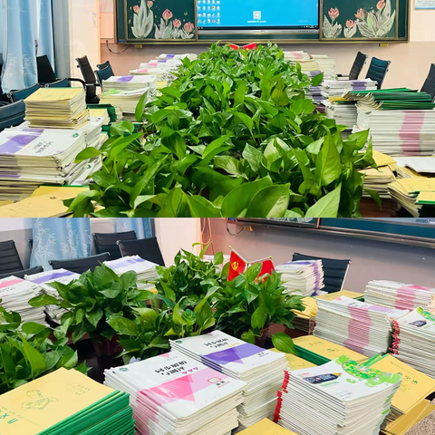 常规检查促教学 夯实基础提质量——官亭小学教学常规检查