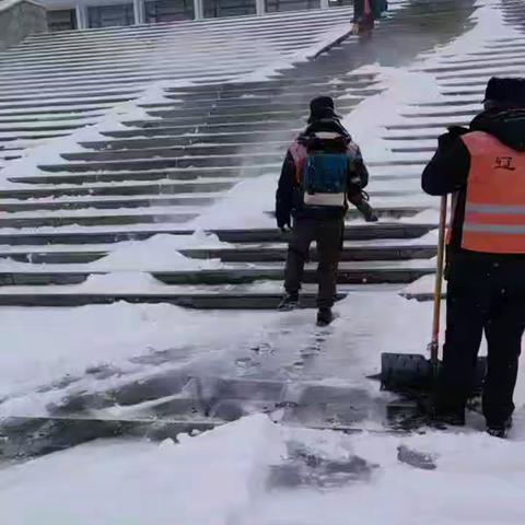 珠斯花房建车间以雪为令、闻雪而动