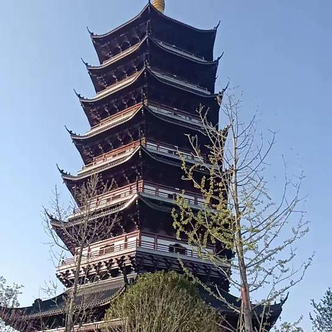 【弦歌不辍】文峰塔下读《孝经》
