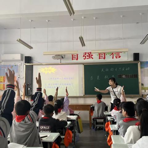 教之“语”，研以“文”——南旺小学语文教研活动总结