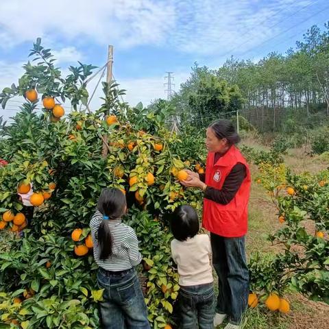 小手牵自然 童心采丰收