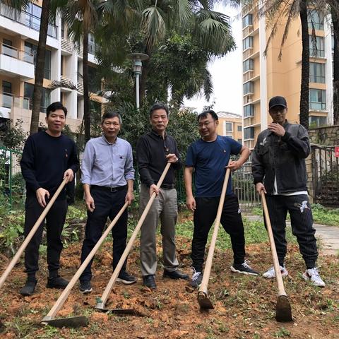 开展志愿服务活动