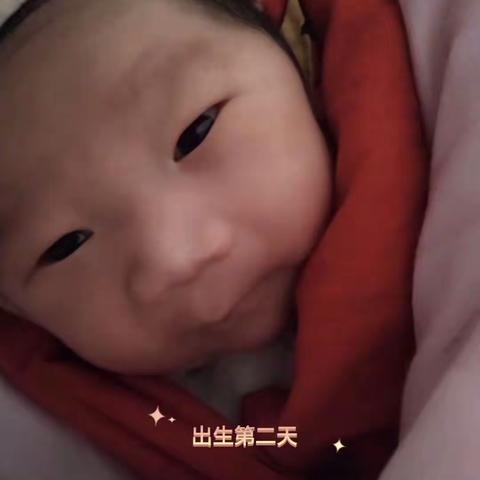 新南幼儿园大二班刘一涵的成长路(●—●)