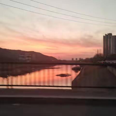 【扶残助残】志愿添翼工美展，扶残筑梦匠心传