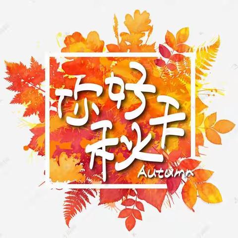 【童乐新幼】“🍂云天收夏色，木叶动秋声”——曹妃甸区第九农场新立庄子幼儿园寻秋活动纪实