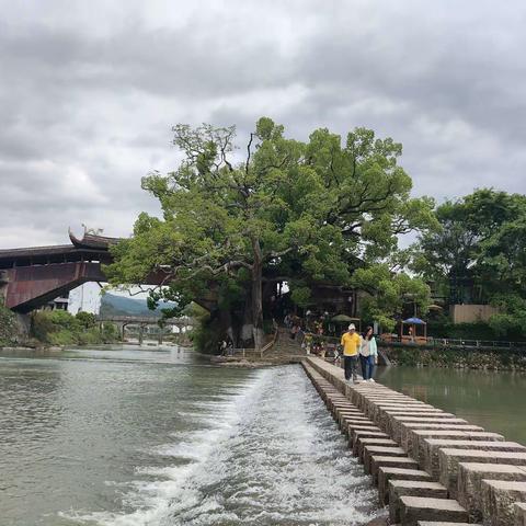 春风润四月  不负好春光