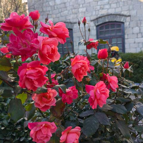 大观园校区美术专业期未师生学习成果展示(山水篇)