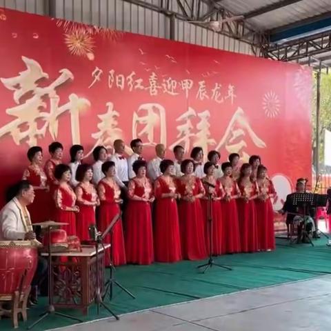 龙辰迎春喜洋洋  光阴不负夕阳红