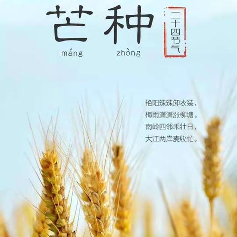 芒种芒种 幸福播种—临港一幼 攀登2班芒种主题活动