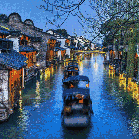 【江南文脉·名校寻踪】——去浙江与复旦大学栽种梦想