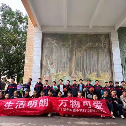 青春无畏，趣味加倍 —博才阳光实验小学2110班趣味运动会