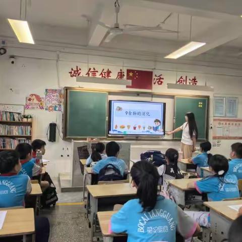 家长进课堂——探秘人体消化，解锁身体的奇妙奥秘