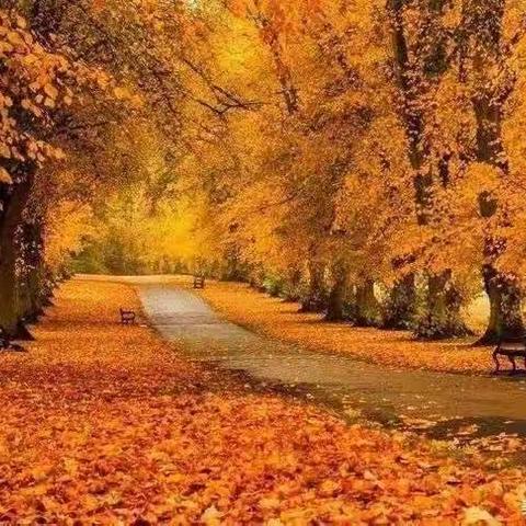 聚焦新课标 构建新课堂 ——浔阳区第一片区青年音乐教师课堂教学大练兵