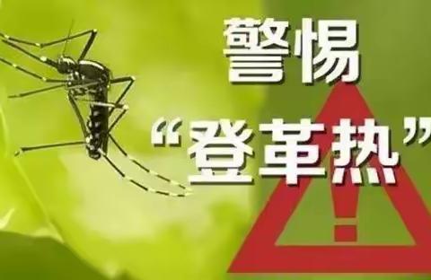 预防登革热，从我做起——大石街幼儿园预防登革热科普宣传