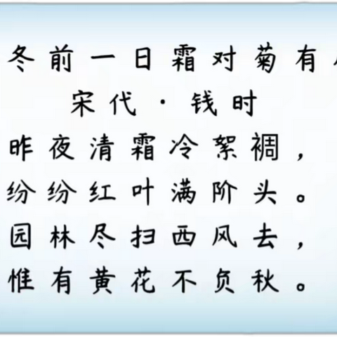 时寒冷至，万物收藏 ‍—海兔班立冬节气主题活动 ‍