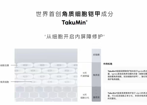 解析：TakuMin如何修护内屏障？