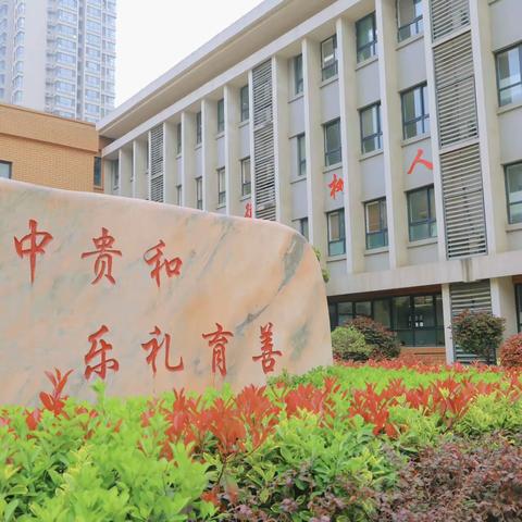 紫荆十年 体育绽放——让活力校园“动”起来……