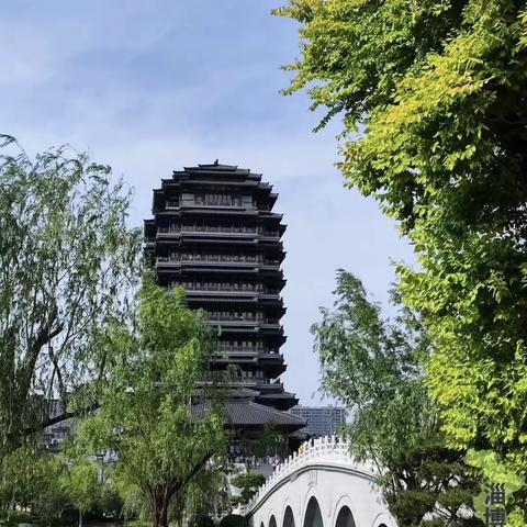 李雨佳 丰富多彩的暑假生活🌸