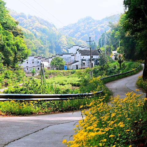 画里乡村