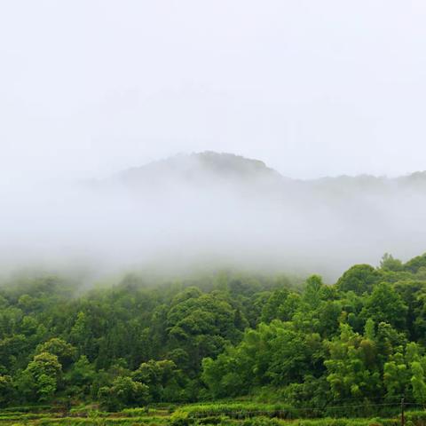 青山不墨（拍摄练习）