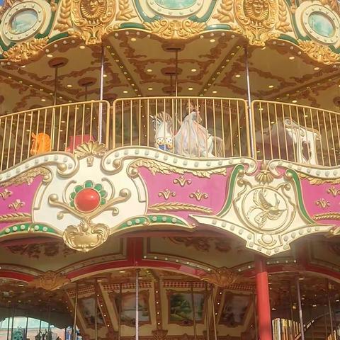 田馨迪的暑假生活