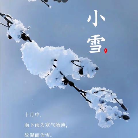 【知小雪】小雪雪满天，来年必丰年