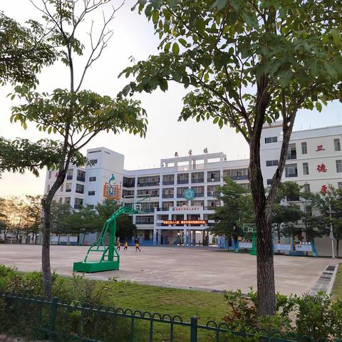 扬帆起航正当时，踔厉奋发向未来——白沙县实习生工作记录