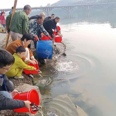 沙溪放流护生态，委员巡河促治理