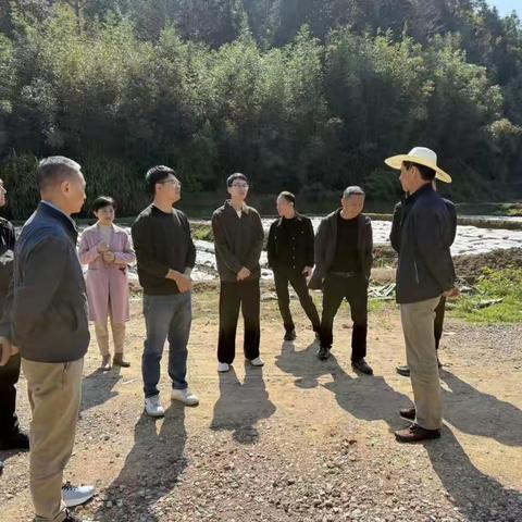 守护碧水清流 人大在行动 ——区人大常委会调研河长制工作