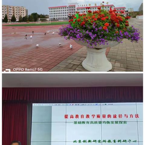 拓宽知识视野，实现自我真知——初二英语组培训心得体会