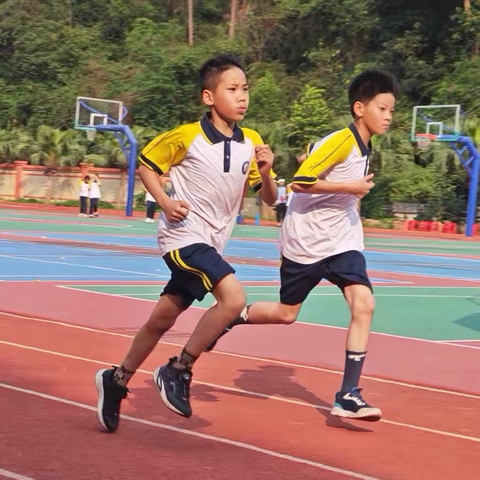 活力赛场，逐梦青春——江门市新会区会城北园小学运动会圆满落幕