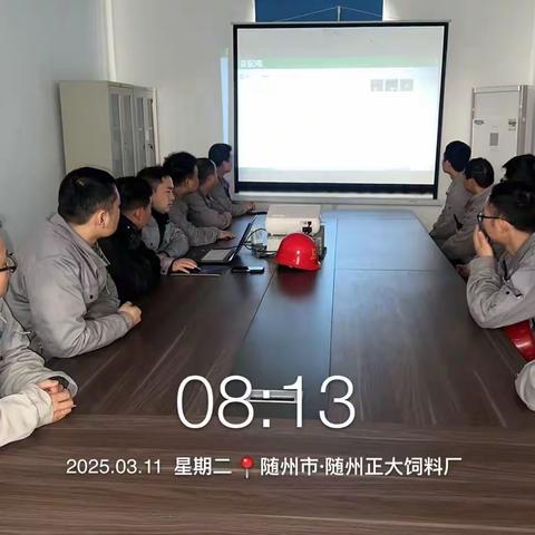 3月CPPM工作总结