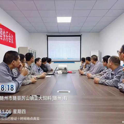 11月CPPM工作总结