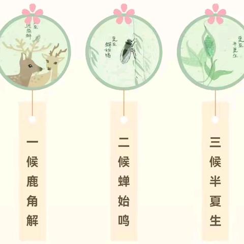 夏至夏至·如约而至--广办中心幼儿园幼儿园夏至节气活动