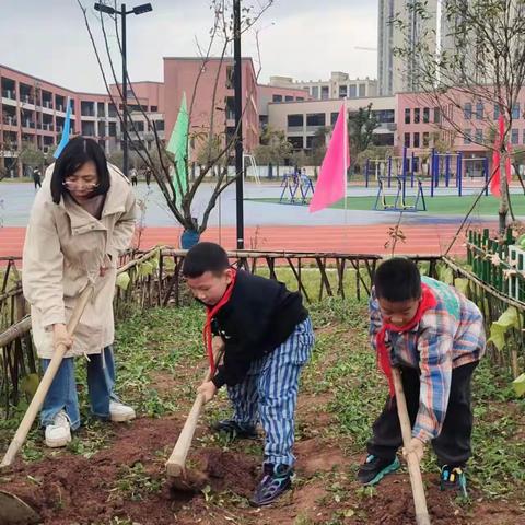 学生变身小菜农 自种自卖乐无穷——利川市第三民族实验小学206班小蜜蜂菜园丰收啦