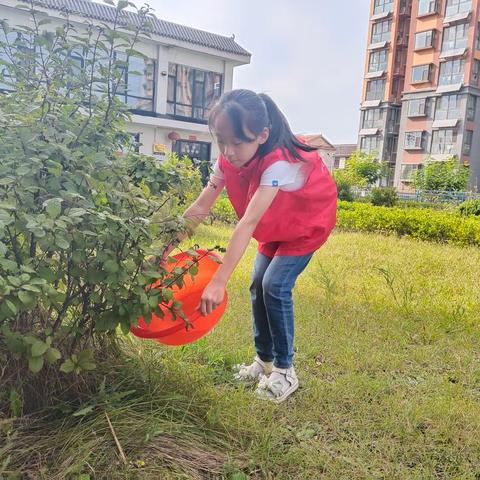 清风润童心  廉洁伴成长