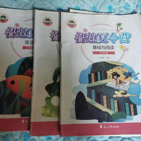 智趣一夏，“暑”你最棒——徐水小学四（3）班张翼岩