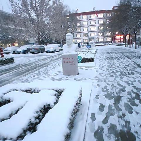 大好初雪不辜负，校园玩雪正当时