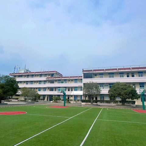 以习惯为笔 绘成长画卷——武夷公馆小学养成教育