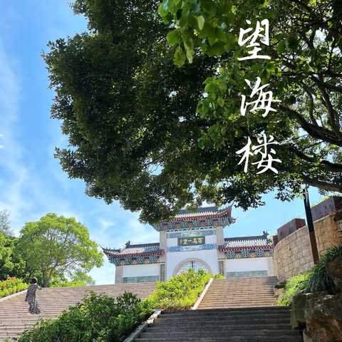 ——我的暑假研学旅行日记 · 洞头岛