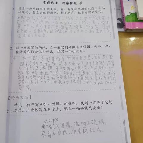 濮阳县第四实验小学三年级十二班李佳瑶