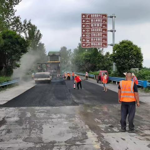 高温下的坚守：全力保进度  道路施工忙