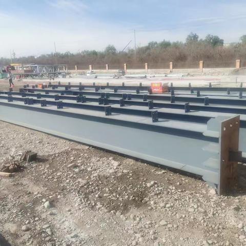 同庆种业2号生产车间钢结构开始现场施工