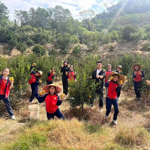 传承本土文化，厚植家国情怀 ——叶蔼小学户外劳动教育活动纪实